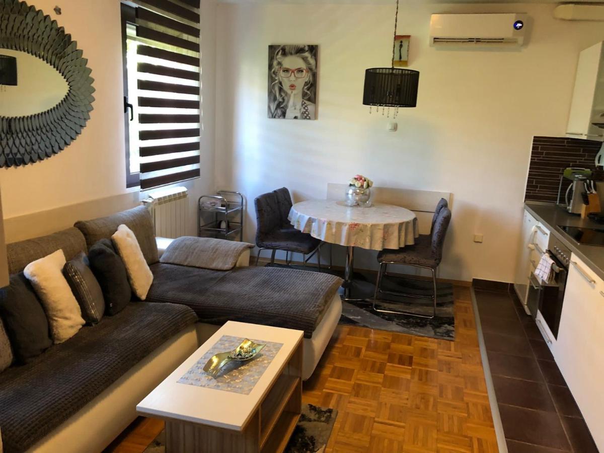 Apartment Sweet Dreams-Close To Zoo,Dinamo Stadium And The City Center Zagreb Bagian luar foto